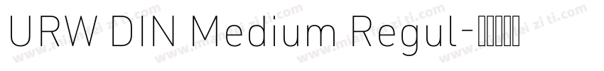 URW DIN Medium Regul字体转换